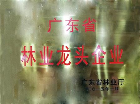    	         	2015年1月，紅古軒當選為“廣東省林業(yè)龍頭企業(yè)”   